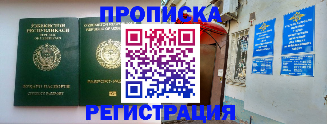 где прописаться в Тереке